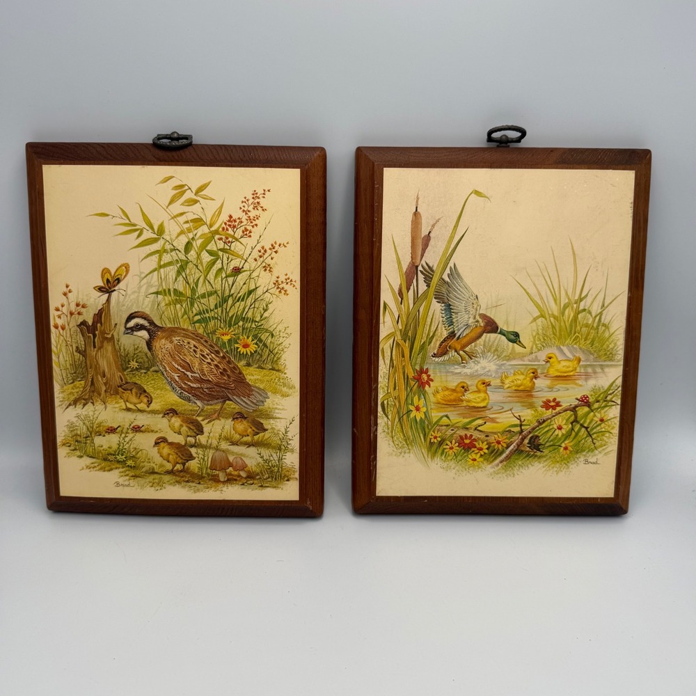 Vintage 70s Brad Bird Art Wood Plaques Set of 2 Mallard Duck Quail Wildlife 8x10